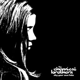 Release Cover The Chemical Brothers - Dig Your Own Hole