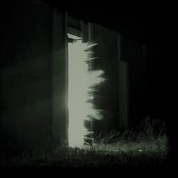 Release Cover Fink - Horizontalism