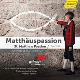 Release Cover Johann Sebastian Bach, Wiltener Sängerknaben, Academia Jacobus Stainer, Johannes Stecher - J.S. Bach: St. Matthew Passion, BWV 244