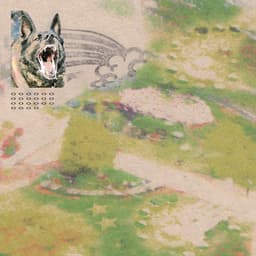 Release Cover feeble little horse - Girl with Fish
