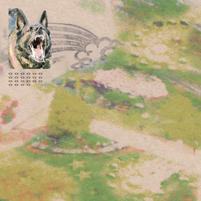 Release Cover feeble little horse - Girl with Fish