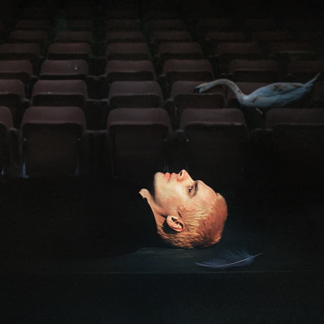 Release Cover Sega Bodega - Dennis