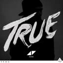 Release Cover Avicii - True