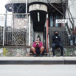 Release Cover Armand Hammer, billy woods, E L U C I D - We Buy Diabetic Test Strips