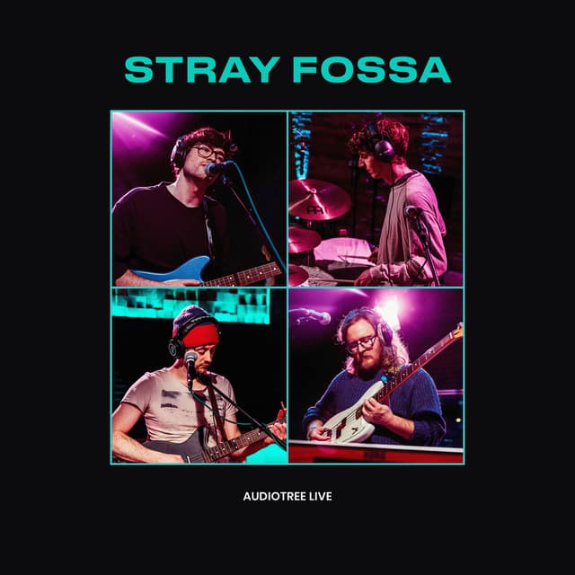 Release Cover Stray Fossa, Audiotree - Stray Fossa On Audiotree Live