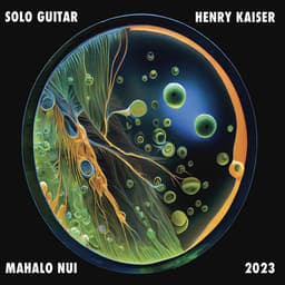 Release Cover Henry Kaiser - Mahalo Nui (Solo Guitar 2023)
