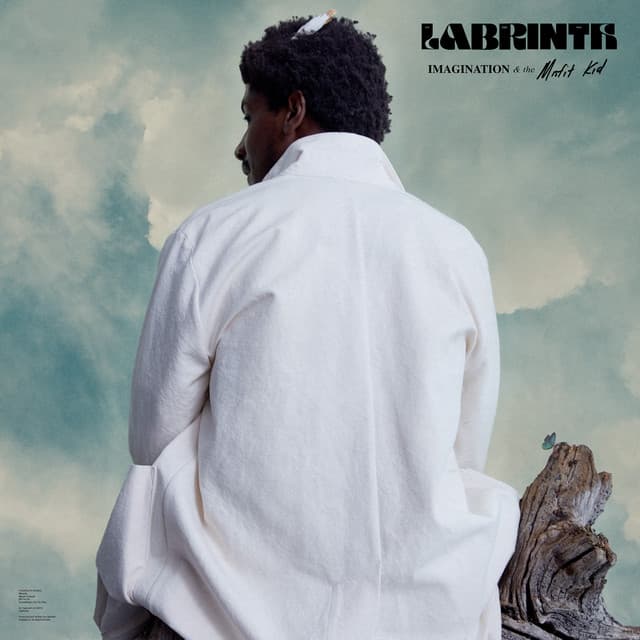 Release Cover Labrinth - Imagination & the Misfit Kid