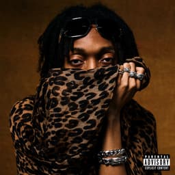 Release Cover Lil Tecca - PLAN A