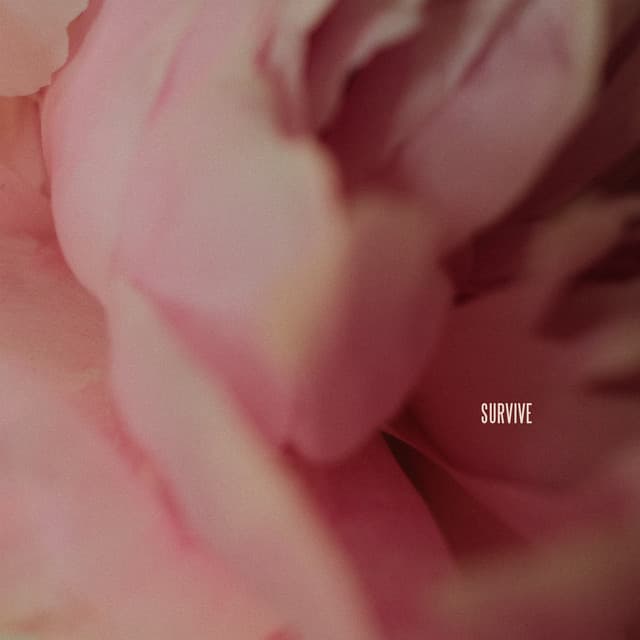 Release Cover Lewis Capaldi - Survive