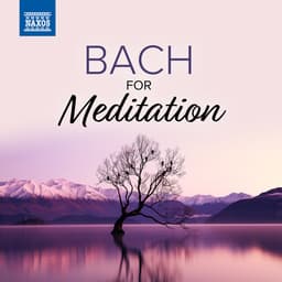 Release Cover Johann Sebastian Bach, Jenő Jandó, Takako Nishizaki, Lucy van Dael, Maria Kliegel, Jeffrey McFadden, Luc Beauséjour, Cologne Chamber Orchestra, Helmut Müller-Brühl - Bach For Meditation