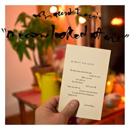 Release Cover Mount Eerie - A Crow Looked at Me