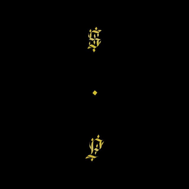 Release Cover Shabazz Palaces - Black Up