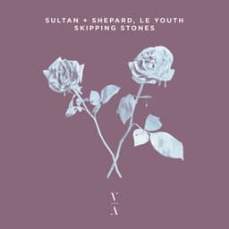 Release Cover Sultan + Shepard, Le Youth - Skipping Stones