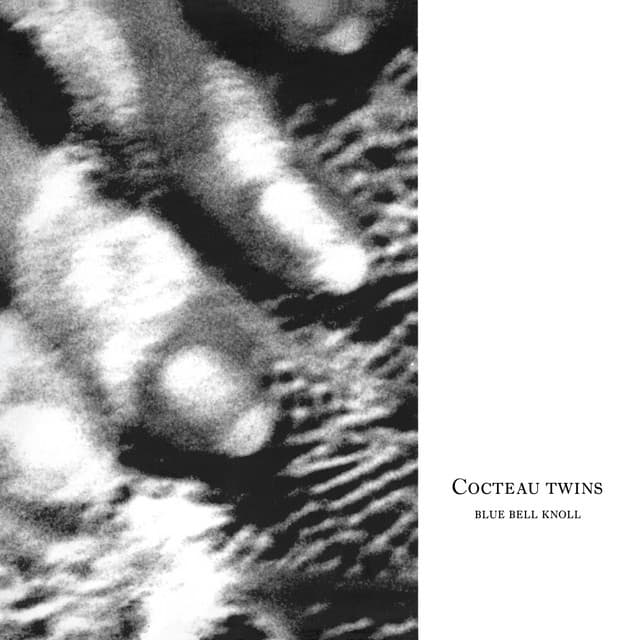 Release Cover Cocteau Twins - Blue Bell Knoll