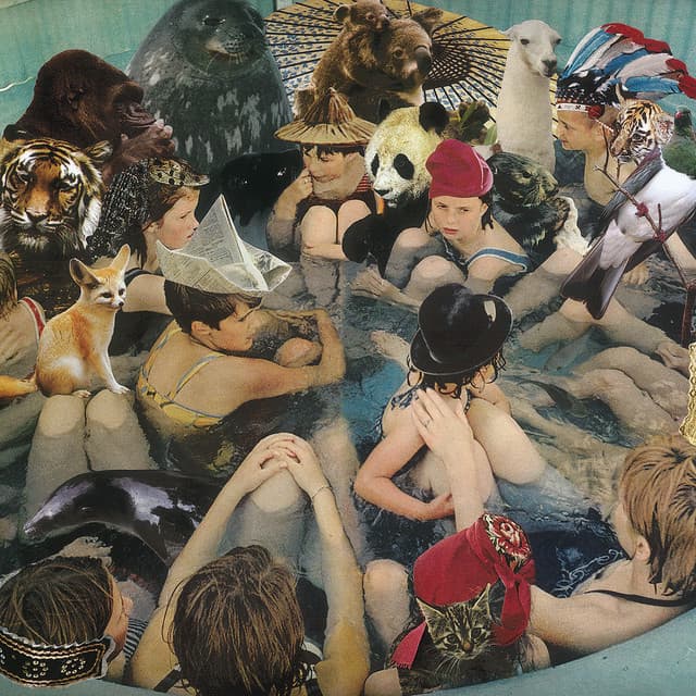 Release Cover Panda Bear - Person Pitch