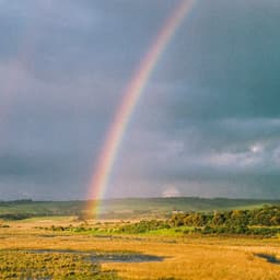 Release Cover Mallrat - In the Sky