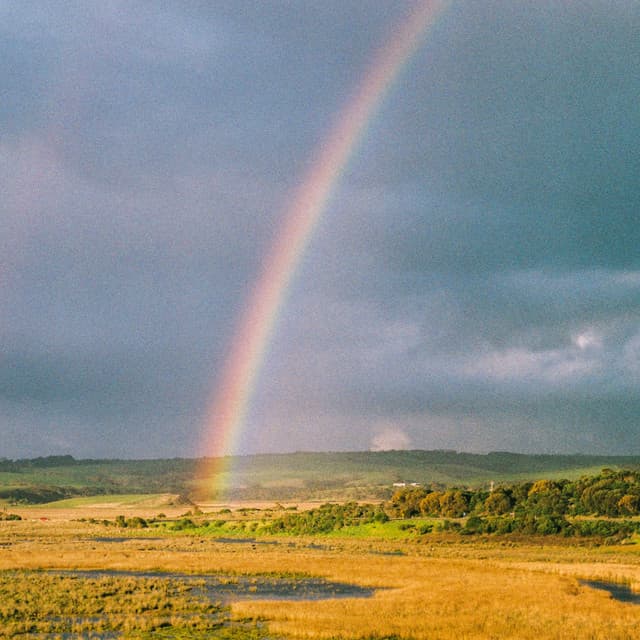 Release Cover Mallrat - In the Sky