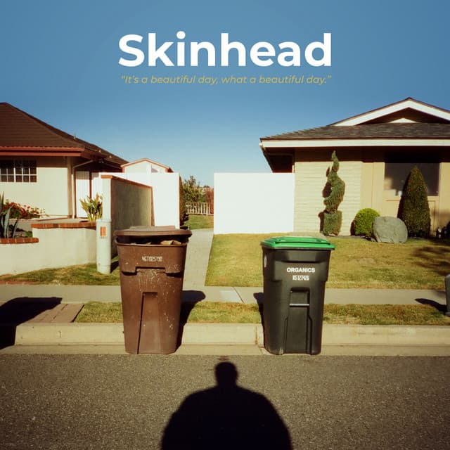 Release Cover Skinhead - It's a Beautiful Day, What a Beautiful Day