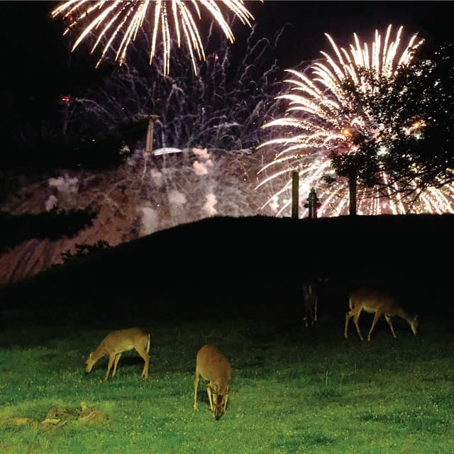 Release Cover Home Is Where - Hunting Season