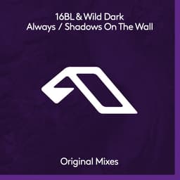 Release Cover 16BL, Wild Dark, Megan Morrison - Always / Shadows On The Wall