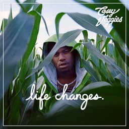 Release Cover Casey Veggies - Life Changes