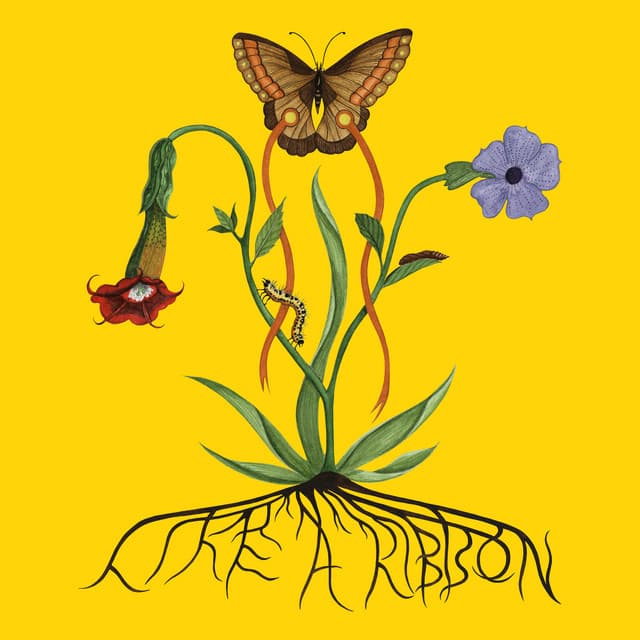 Release Cover John Glacier - Like A Ribbon