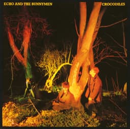 Release Cover Echo & the Bunnymen - Crocodiles