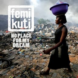 Release Cover Femi Kuti - No Place For My Dream