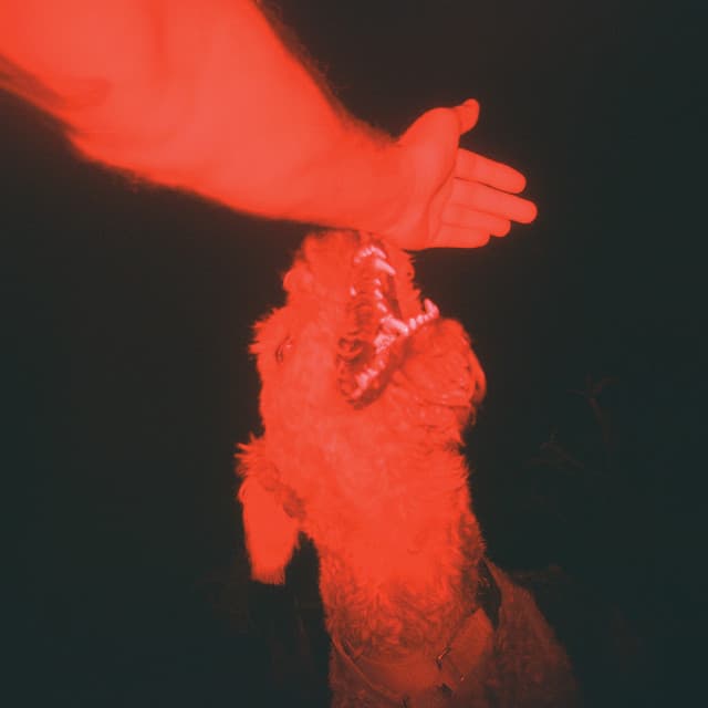 Release Cover Eli Winter - A Trick of the Light