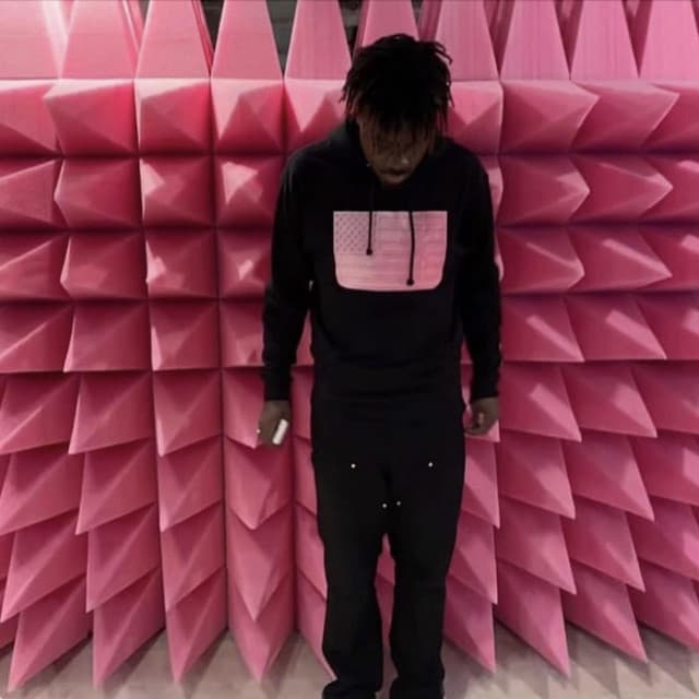 Release Cover fakemink - Easter Pink