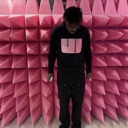 Release Cover fakemink - Easter Pink