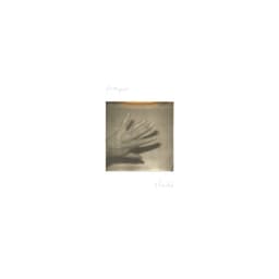 Release Cover Grouper - Shade
