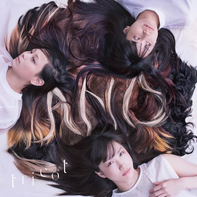 Release Cover tricot - A N D
