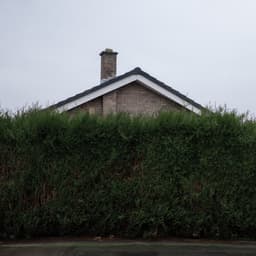 Release Cover The 1975 - Still... At Their Very Best (Live From The AO Arena, Manchester, 17.02.24)