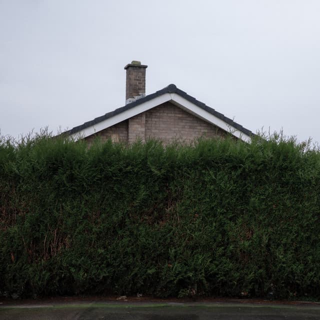 Release Cover The 1975 - Still... At Their Very Best (Live From The AO Arena, Manchester, 17.02.24)