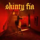 Release Cover Fontaines D.C. - Skinty Fia