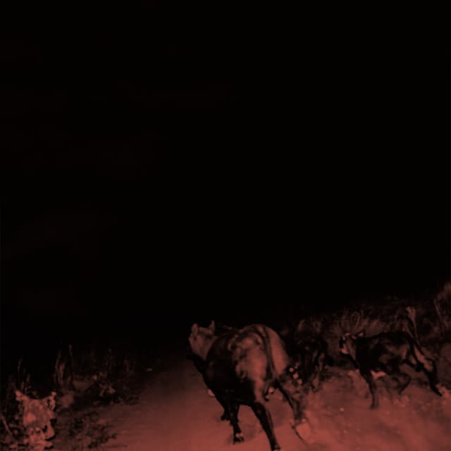 Release Cover BAMBARA - Shadow on Everything