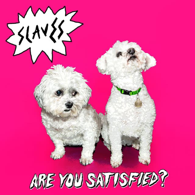 Release Cover SOFT PLAY - Are You Satisfied?