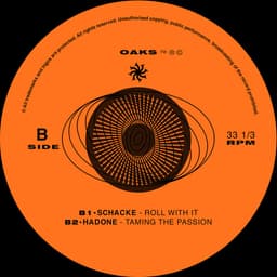 Release Cover Schacke, Hadone - A Lot of Chaos