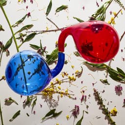 Release Cover Dirty Projectors - Lamp Lit Prose