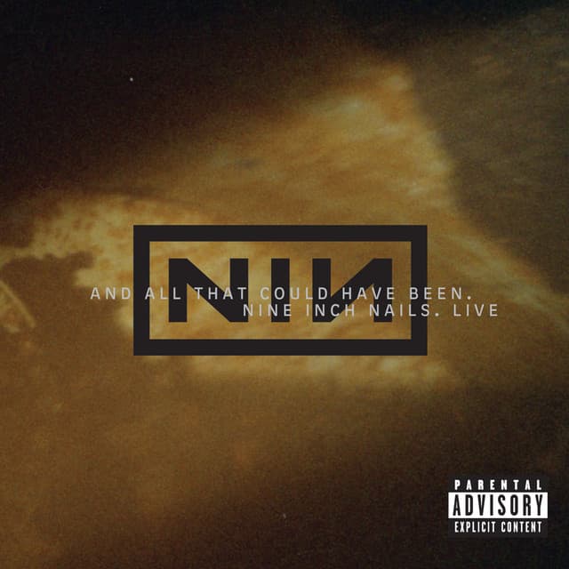 Release Cover Nine Inch Nails - Live: And All That Could Have Been