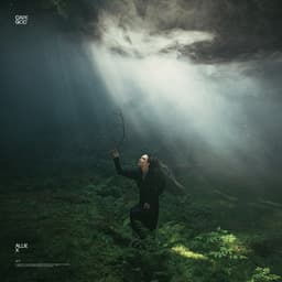 Release Cover Allie X - Cape God