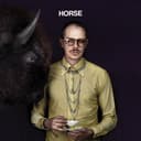Release Cover Prof - Horse