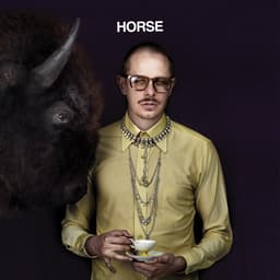 Release Cover Prof - Horse