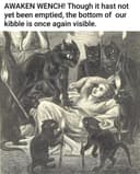 bubblebiddy