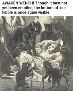 bubblebiddy